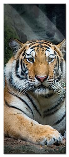 Glasbild Panorama | Wandbild aus Echtglas | Liegender Tiger | 120x50 cm | inkl. Aufhängung und Abstandshalter von Pixxprint
