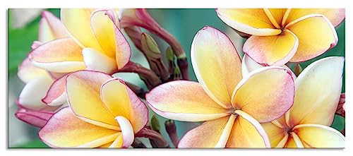 Glasbild Panorama | Wandbild aus Echtglas | Monoi Blüten auf Hawaii | 120x50 cm | inkl. Aufhängung und Abstandshalter von Pixxprint