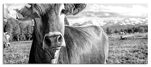 Glasbild Panorama | Wandbild aus Echtglas | Neugierige Kuh auf Weide im Allgäu, Monochrome | 120x50 cm | inkl. Aufhängung und Abstandshalter von Pixxprint