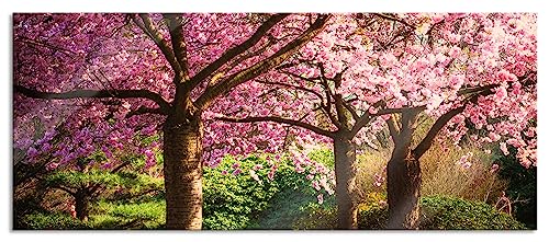 Glasbild Panorama | Wandbild aus Echtglas | Rosa blühende Kirschbäume | 100x40 cm | inkl. Aufhängung und Abstandshalter von Pixxprint