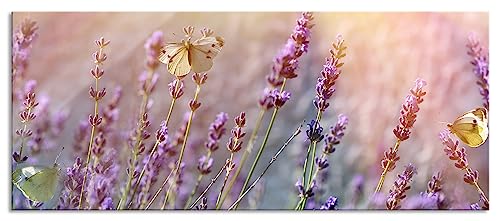 Glasbild Panorama | Wandbild aus Echtglas | Schmetterlinge auf Lavendelblumen | 120x50 cm | inkl. Aufhängung und Abstandshalter von Pixxprint