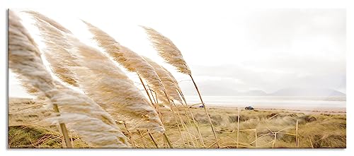 Glasbild Panorama | Wandbild aus Echtglas | Schönes Schilf in den Dünen | 100x40 cm | inkl. Aufhängung und Abstandshalter von Pixxprint