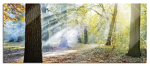 Glasbild Panorama | Wandbild aus Echtglas | Sonnenstrahlen im Wald | 100x40 cm | inkl. Aufhängung und Abstandshalter von Pixxprint