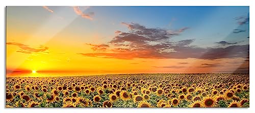Glasbild Panorama | Wandbild aus Echtglas | Sonnenuntergang Sonnenblumen | 120x50 cm | inkl. Aufhängung und Abstandshalter von Pixxprint