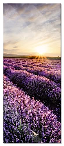 Glasbild Panorama | Wandbild aus Echtglas | Traumhafte Lavendel Provence | 100x40 cm | inkl. Aufhängung und Abstandshalter von Pixxprint