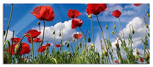 Glasbild Panorama | Wandbild aus Echtglas | Wiese mit Blumen | 100x40 cm | inkl. Aufhängung und Abstandshalter von Pixxprint