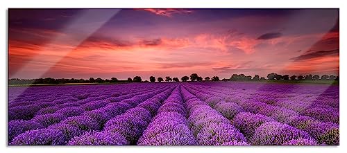 Glasbild Panorama | Wandbild aus Echtglas | Wunderschöne Lavendel Provence | 100x40 cm | inkl. Aufhängung und Abstandshalter von Pixxprint