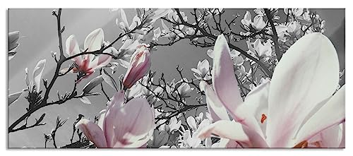 Glasbild Panorama | Wandbild aus Echtglas | schöne Magnolie Blüten | 100x40 cm | inkl. Aufhängung und Abstandshalter von Pixxprint