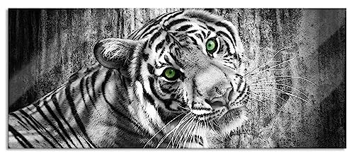 Glasbild Panorama | Wandbild aus Echtglas | schöner neugieriger Tiger | 100x40 cm | inkl. Aufhängung und Abstandshalter von Pixxprint