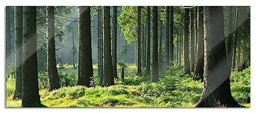 Glasbild Panorama | Wandbild aus Echtglas | sonniger Tag im Wald | 120x50 cm | inkl. Aufhängung und Abstandshalter von Pixxprint