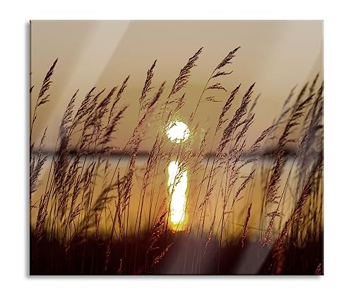 Gräser bei Sonnenuntergang Herdabdeckplatte & Spritzschutz aus Echtglas | Für Herd-Kochfelder | 60x52 cm von Pixxprint