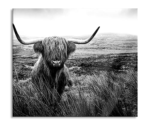Highland Rind mit großen Hörnern Steppe, Monochrome Herdabdeckplatte & Spritzschutz aus Echtglas | Für Herd-Kochfelder | 60x52 cm von Pixxprint