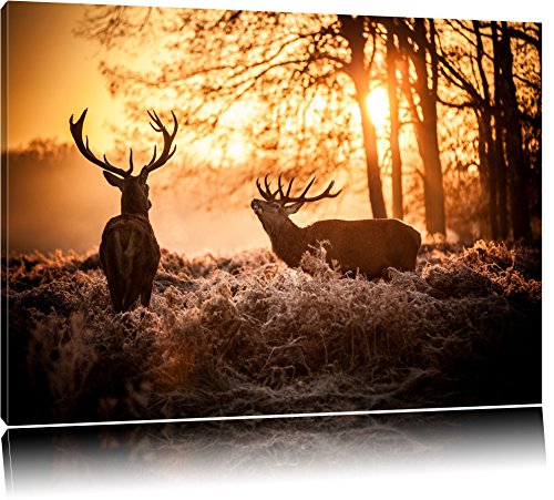 Pixxprint Hirsch Rivalen kämpfen, Größe: 100x70cm, Leinwandbild, fertig gespannt, Wandbild, Dekoration, Kunstdruck, kein Poster von Pixxprint