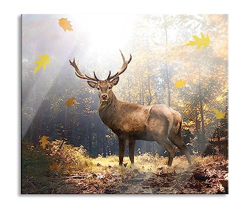 Hirsch im Wald mit fallenden Blättern Herdabdeckplatte & Spritzschutz aus Echtglas | Für Herd-Kochfelder | 60x52 cm von Pixxprint