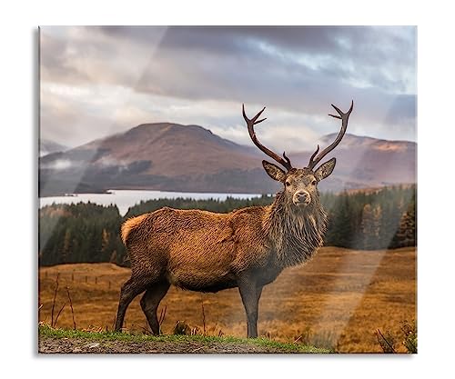 Hirsch in atemberaubender Landschaft Herdabdeckplatte & Spritzschutz aus Echtglas | Für Herd-Kochfelder | 60x52 cm von Pixxprint