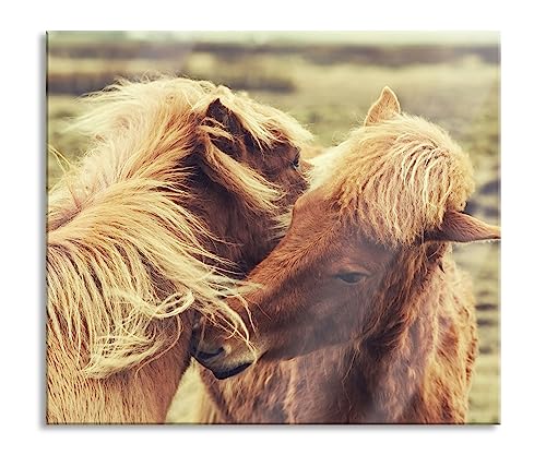 Islandpferde Pony Herdabdeckplatte & Spritzschutz aus Echtglas | Für Herd-Kochfelder | 60x52 cm von Pixxprint