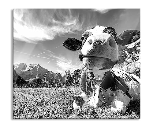 Kuh im Karwendelgebirge Kunst B&W Herdabdeckplatte & Spritzschutz aus Echtglas | Für Herd-Kochfelder | 60x52 cm von Pixxprint