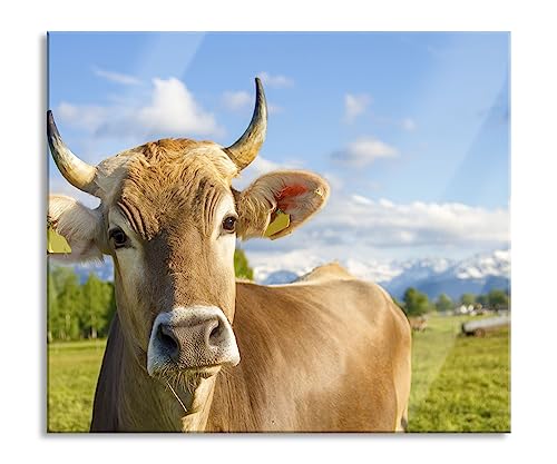 Neugierige Kuh auf Weide im Allgäu Herdabdeckplatte & Spritzschutz aus Echtglas | Für Herd-Kochfelder | 60x52 cm von Pixxprint