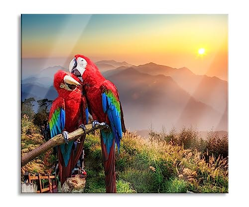 Papageien Pärchen Herdabdeckplatte & Spritzschutz aus Echtglas | Für Herd-Kochfelder | 60x52 cm von Pixxprint