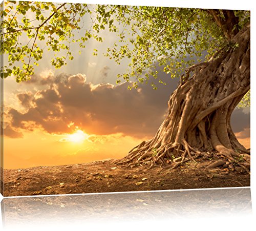 Pixxprint Baum, Größe: 100x70cm, Leinwandbild, fertig gespannt, Wandbild, Dekoration, Kunstdruck, kein Poster von Pixxprint