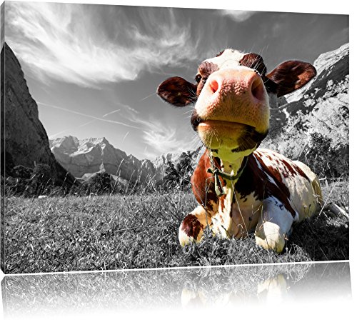 Pixxprint Kuh im Karwendelgebirge, Größe: 60x40cm, Leinwandbild, fertig gespannt, Wandbild, Dekoration, Kunstdruck, kein Poster Pixxprint Kuh im Karwendelgebirge, Größe: 60x40cm, Leinwandbild, fertig gespannt, Wandbild, Dekoration, Kunstdruck, kein Poster von Pixxprint