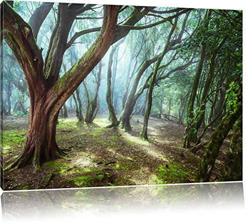 Pixxprint Wald, Größe: 120x80cm, Leinwandbild, fertig gespannt, Wandbild, Dekoration, Kunstdruck, kein Poster Pixxprint Wald, Größe: 120x80cm, Leinwandbild, fertig gespannt, Wandbild, Dekoration, Kunstdruck, kein Poster von Pixxprint