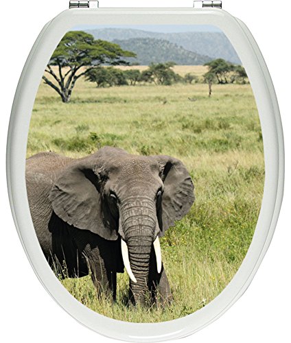 Pixxprint gigantischer Elefant in der Savanne als Toilettendeckel Aufkleber, WC, Klodeckel - Maße: 32x40 cm, Gläzendes Material Toilettendeckelaufkleber, Vinyl, bunt, 40 x 32 x 0.02 cm von Pixxprint