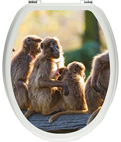 Pixxprint liebevolle Affenfamilie als Toilettendeckel Aufkleber, WC, Klodeckel - Maße: 32x40 cm, Gläzendes Material Toilettendeckelaufkleber, Vinyl, bunt, 40 x 32 x 0.02 cm von Pixxprint