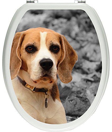 Pixxprint Kleiner Beagle spielt im Laub schwarz/weiß als Toilettendeckel Aufkleber, WC, Klodeckel - Maße: 32x40 cm, Gläzendes Material Toilettendeckelaufkleber, Vinyl, bunt, 40 x 32 x 0.02 cm von Pixxprint