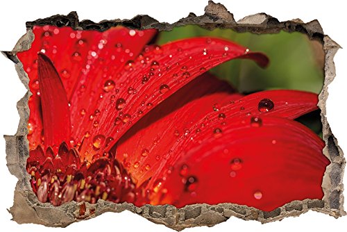 Pixxprint 3D_WD_1525_92x62 Morgentau auf Gerbera Wanddurchbruch 3D Wandtattoo, Vinyl, bunt, 92 x 62 x 0,02 cm von Pixxprint