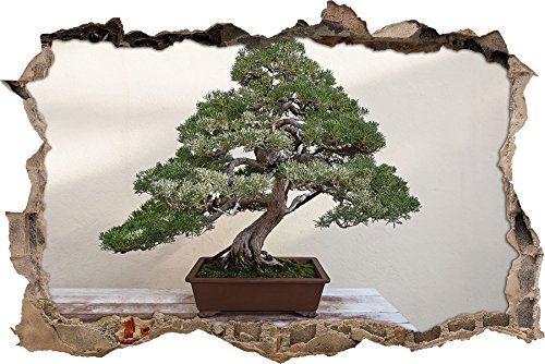 Pixxprint 3D_WD_1555_62x42 Kleiner Bonsai Wanddurchbruch 3D Wandtattoo, Vinyl, bunt, 62 x 42 x 0,02 cm von Pixxprint