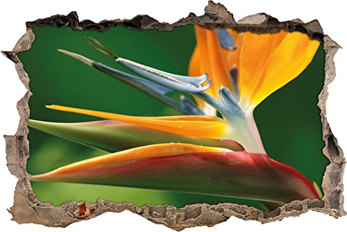 Pixxprint 3D_WD_1659_62x42 Paradisblume Wanddurchbruch 3D Wandtattoo, Vinyl, bunt, 62 x 42 x 0,02 cm von Pixxprint