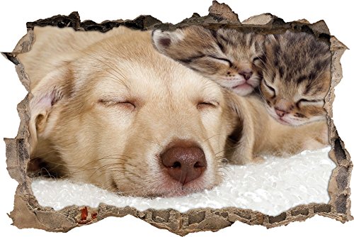 Pixxprint 3D_WD_1813_62x42 Beste Freunde schmusen Hund Katze Wanddurchbruch 3D Wandtattoo, Vinyl, bunt, 62 x 42 x 0,02 cm von Pixxprint