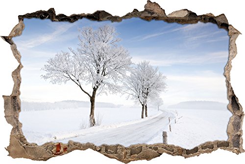 Pixxprint 3D_WD_1996_62x42 Bäume im winter Wanddurchbruch 3D Wandtattoo, Vinyl, bunt, 62 x 42 x 0,02 cm von Pixxprint