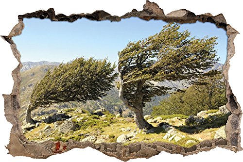 Pixxprint 3D_WD_2028_62x42 Schiefer Baum auf Kreta Wanddurchbruch 3D Wandtattoo, Vinyl, bunt, 62 x 42 x 0,02 cm von Pixxprint