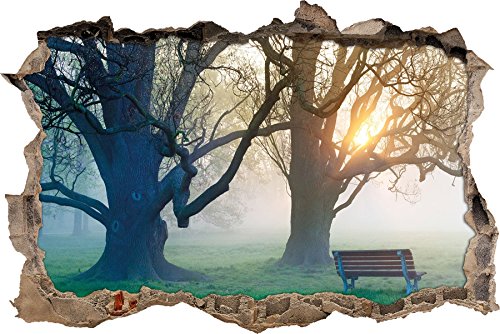 Pixxprint 3D_WD_2254_62x42 Parkbank mit Baum bei Sonnenuntergang und Nebel Wanddurchbruch 3D Wandtattoo, Vinyl, bunt, 62 x 42 x 0,02 cm von Pixxprint