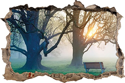 Pixxprint 3D_WD_2254_92x62 Parkbank mit Baum bei Sonnenuntergang und Nebel Wanddurchbruch 3D Wandtattoo, Vinyl, bunt, 92 x 62 x 0,02 cm von Pixxprint