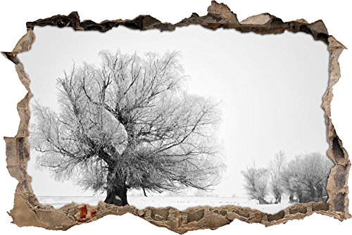 Pixxprint 3D_WD_2286_62x42 schneebedeckter Baum Wanddurchbruch 3D Wandtattoo, Vinyl, bunt, 62 x 42 x 0,02 cm von Pixxprint