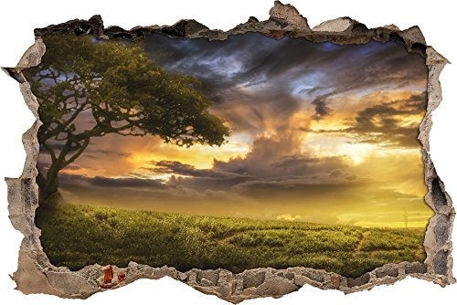 Pixxprint 3D_WD_2350_62x42 Baum in romantischer Landschaft Wanddurchbruch 3D Wandtattoo, Vinyl, bunt, 62 x 42 x 0,02 cm von Pixxprint