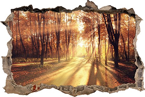 Pixxprint 3D_WD_2357_62x42 Wald im Herbst mit Sonnenstrahlen Wanddurchbruch 3D Wandtattoo, Vinyl, bunt, 62 x 42 x 0,02 cm von Pixxprint