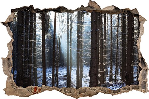 Pixxprint 3D_WD_2457_92x62 Wald im Winter mit Sonnenstrahlen Wanddurchbruch 3D Wandtattoo, Vinyl, bunt, 92 x 62 x 0,02 cm von Pixxprint