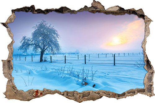 Pixxprint 3D_WD_2536_62x42 Baum in Winterlandschaft Wanddurchbruch 3D Wandtattoo, Vinyl, bunt, 62 x 42 x 0,02 cm von Pixxprint