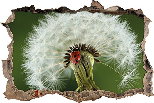 Pixxprint 3D_WD_2615_62x42 Marienkäfer auf Pusteblume Wanddurchbruch 3D Wandtattoo, Vinyl, bunt, 62 x 42 x 0,02 cm von Pixxprint