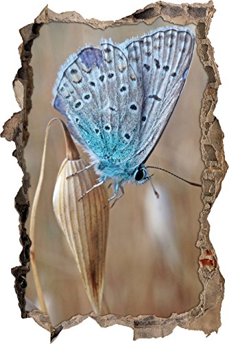 Pixxprint 3D_WD_2630_62x42 wunderschöner blauer Schmetterling Wanddurchbruch 3D Wandtattoo, Vinyl, bunt, 62 x 42 x 0,02 cm von Pixxprint