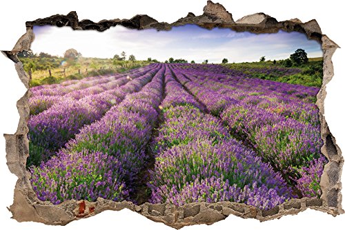 Pixxprint 3D_WD_2693_92x62 Lavendelfeld in der Provence Wanddurchbruch 3D Wandtattoo, Vinyl, bunt, 92 x 62 x 0,02 cm von Pixxprint