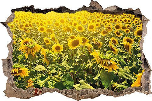 Pixxprint 3D_WD_3102_62x42 Sonnenblumenfeld Wanddurchbruch 3D Wandtattoo, Vinyl, bunt, 62 x 42 x 0,02 cm von Pixxprint