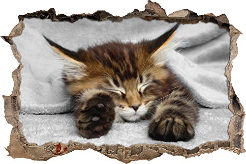 Pixxprint 3D_WD_4836_62x42 schlafende Katze mit großen Ohren Wanddurchbruch 3D Wandtattoo, Vinyl, schwarz / weiß, 62 x 42 x 0,02 cm von Pixxprint
