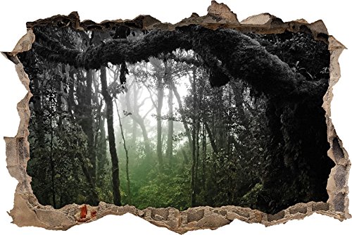 Pixxprint 3D_WD_4927_62x42 Regenwald in seiner ganzen Pracht Wanddurchbruch 3D Wandtattoo, Vinyl, schwarz / weiß, 62 x 42 x 0,02 cm von Pixxprint