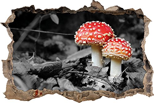 Pixxprint 3D_WD_4928_62x42 zwei kleine Fliegenpilze im Wald Wanddurchbruch 3D Wandtattoo, Vinyl, schwarz / weiß, 62 x 42 x 0,02 cm von Pixxprint