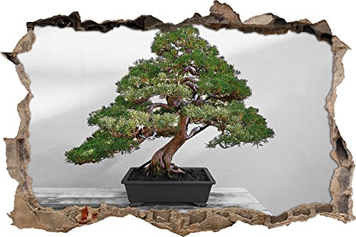 Pixxprint 3D_WD_4942_62x42 Bonsai Baum auf Holztisch Wanddurchbruch 3D Wandtattoo, Vinyl, schwarz / weiß, 62 x 42 x 0,02 cm von Pixxprint